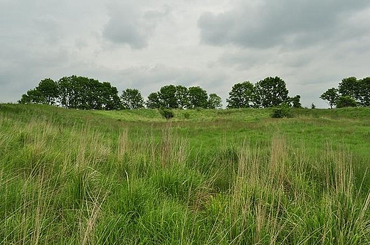 Grodzisko w Wilicy